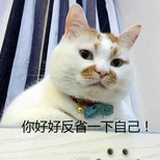 单细胞熊猫
