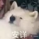 KINOOOOO！