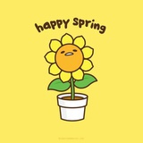 yeloooooooo