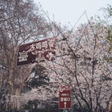 江油条款