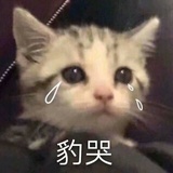 今天也喝奶茶了