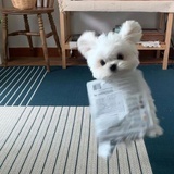 湘湖格格