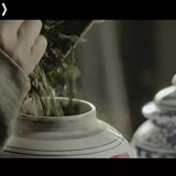 躲在牛壳里的猫