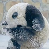 陌上吟