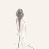 曼扬