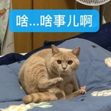 六良耳