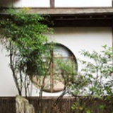 小青蓝