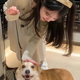 旧巷子里的猫