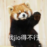 江湖骟子
