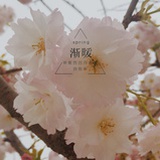 打篮球打篮球