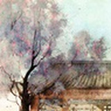 柠檬