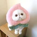 凡人与