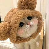 向云端