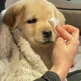 不知名豆瓣用户