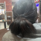 狗狗小胖