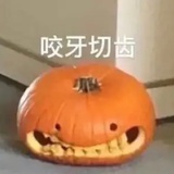 猪头皮
