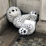 傻子才写姓名