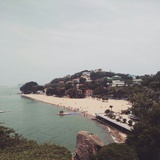 大楠