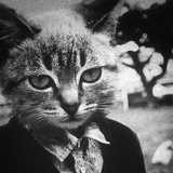 野原新之犬。