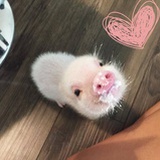 我觉得还行