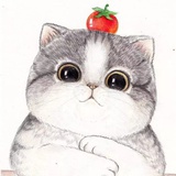 里里