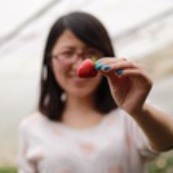 如风自在