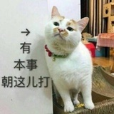 罗小黑不黑🐎