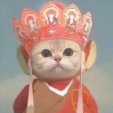 牛牛花文
