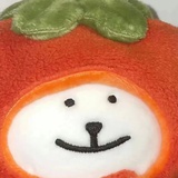 哦哦巧克力