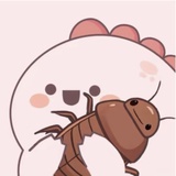 双马尾MoMo