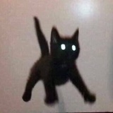 𓆝𓆟𓆞！