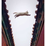 生煎包