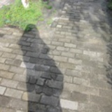 叶飞飞