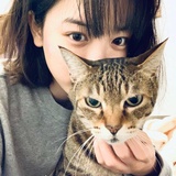 炉子存在的世界