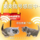 三倍厚抹-