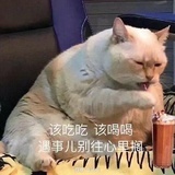 夏天的啤酒