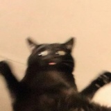 木卜卜