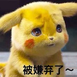 猫咪的尾巴