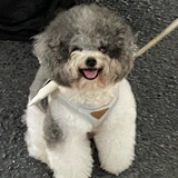 闪✨