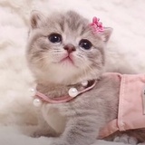 agnesbaby