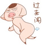 二木主子