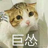 卿扰。