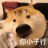 像猪