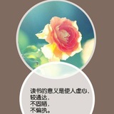 塔塔的小心思
