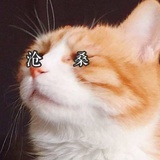 沫mo'er~