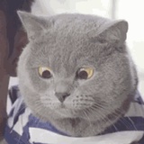 别来沾边边边边