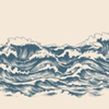 大象在房间