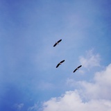 C14H10