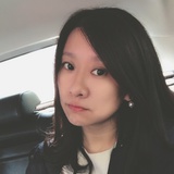树上的极乐鸟