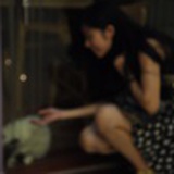 merengue小狐狸